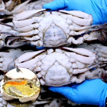 [안군수산] 국산 연평도 알배기 암꽃게 급냉 냉동 꽃게, 6. 급냉 알배기암꽃게 특대 10kg(23~30미), 1개