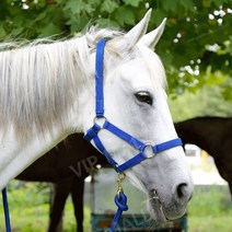 말굴레 조랑말 로프 승마 말고삐 고삐, 블루 L (말 어깨 높이 150-165)