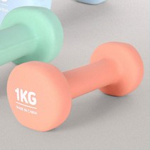 여학생 엄마 예쁜색깔 가벼운 1KG 아령세트 팔뚝살 홈트 헬스 가정집, 오렌지1kg