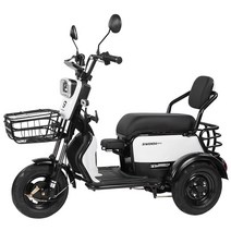 전기자전거 삼륜바이크 3륜 마실 시장 장보기 배달, 600W 모터  48V20AH 납축전지