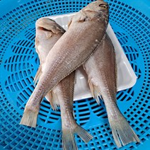 반건조 생선 제수용 생선 제사 생선 선물용 생선 셋트 민어조기 3마리, 35cm 3마리(소)