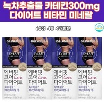 녹차추출물 카테킨 비타민B군 복부 술살아랫배빼기 단기간다이어트 허릿살 카테틴 추천 건강한 여자 Diet