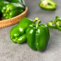 국내산 청피망 10kg 5kg 3kg 2kg 1kg내외, 1box, 청피망 5kg내외