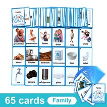 영어 카드 파닉스 단어 학습 카드 영어낱말 플래시 카드, Family 65Cards