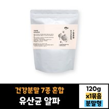 7종 혼합유산균 알파 120g 건강분말 가루