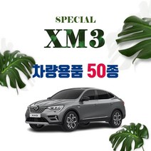 [차랑] XM3 자동차 용품 악세사리 튜닝 차량용품 모음, 22_XM3 메탈 도어캐치