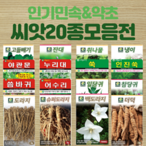 민속 채소 씨앗 종자 약초 도라지 더덕 공심채 잔대 냉이 고들빼기 씀바귀 쑥 당귀 텃밭, 6.잔대, 1개