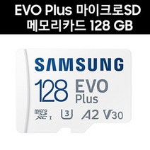 삼성전자 블랙캠 캣6 마이크로SD카드 128G EVO PLUS MicroSD, 128GB