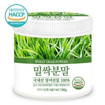 푸른들판 국산 어린 잎 밀싹 밀새싹 밀순 분말 가루 100% 파우더 해썹 인증 추천, 100g, 1통
