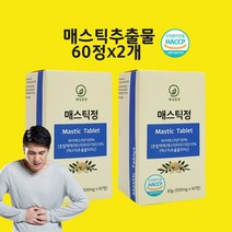 매스틱 위매스틱 매스틱검 하이매스틱 그리스 키오스 알약 정 식약처 인정 해썹