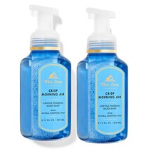 배쓰앤바디웍스 Bath and Body Works 2팩 Crisp Morning Air 젠틀 포밍 핸드 솝. 226.8g 8온스