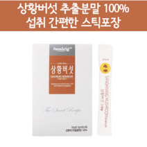 상황버섯분말 물 먹는방법 목질진흙버섯 펠리누스린테우스