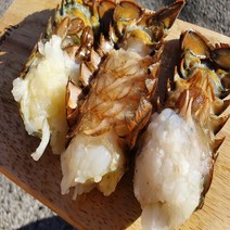 랍스터테일 1미 캐나다 바닷가재 꼬리 버터구이, 랍스터테일 1미 x 1