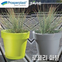[조이가든] Prosperplast 로플리 화분 (받침포함), 브라운