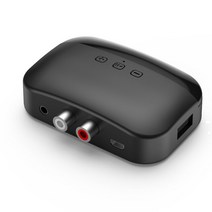 무선카팩 2인 1 블루투스 5.0 송신기 수신기 NFC 3.5mm AUX RCA USB TF 카드 스테레오 음악 무선 오디오, 01 FM Transmitter