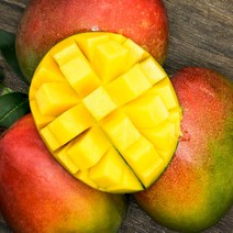 마켓슨 프리미엄 애플망고 선물세트 가정용, 태국망고 5kg (10-14과)