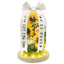 화환유리돔 축하화환 개업 승진 집들이 선물 비누꽃 개업화분 개업화환 환갑선물 생신선물 꽃배달 꽃다발, 썬플라워미니화환(문구 게시판/문자)
