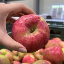홍로 사과 경북 꿀사과 청송 안동 못난이사과 주스용 2kg 3kg 5kg 10kg, 꼬마과 2kg(14-15과), 1개