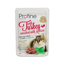프로파인 캣 젤리 파우치 칠면조 85g