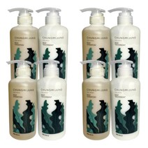 1+1+1+1 청미정 트리트먼트 청미정 천연 다시마 샴푸 샘플증정 2종, 1+1+1+1 트리트먼트 + 다시마 샴푸