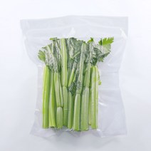 가정용 진공포장기 전용 진공포장비닐 고급형 인클루드 Lofaho, 선택5.  대형 파우치 40장 28cm 35cm