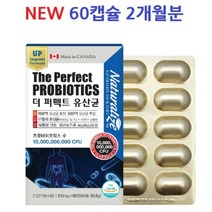 식약처 인증 프로바이오틱스 프롤린유산균 프리바이오틱스 신 멀티 메타 바이오틱스 신소재 시너지 lgg rgg 유산균 락토바실러스 루테리 람노서스 불가리쿠스 혼합 복합 물 분말 스틱, 1, 45