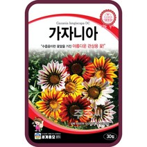 주주씨앗 가자니아 씨앗 50립 / 태양국 훈장국 꽃씨 꽃씨몰 월동 꽃 Gazania