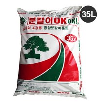 알로카시아 베고니아 분갈이 떡갈나무 히메몬스테라 분갈이 올리브나무, 분갈이OKOK 35L