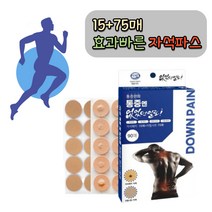 통증엔 없었던일로 프리미엄 근육통 자석패치 90매, 5+1박스