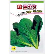 아시아종묘 가을김장 돌산갓씨 갓김치용 씨앗 종자 30g, 1개