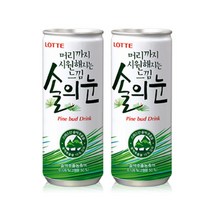 롯데칠성음료 머리까지 시원해지는 느낌 솔의눈, 240ml, 6개