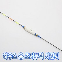 용인낚시쇼핑몰 동완 사선찌 (하우스 저부력용), 2호-0.30g, 1개