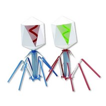 박테리오 파지 모형 10명 1SET