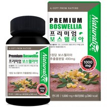 식약처인증 보스웰리아 상어연골 콘드로이친 고함량 보스웰릭산 초록입홍합 관절 고관절 무릎 허리 다리 연골 영양제 약2개월분(약케이스증정), 60정, 한병(60일분)