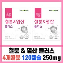내츄럴가이아 철분 & 엽산 플러스, 2박스, 60캡슐