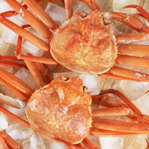 미각기행 자숙 연지홍게 실속형 1kg 2-4미 (B급)