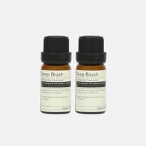 딥블러쉬 차량용석고방향제 오너먼트 리필 오일 10ml 명품향수향, 1개, NO.5