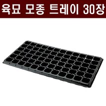 [주식회사 범농] 육묘 모종트레이(30장) - 육묘장 수목 묘목 배추 고추 상추 양파 대파 마늘 트레이 화분, 105구