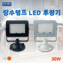 우리조명 장수램프 LED투광기 투광기 사각투광기 30w, 백색바디 주광색(흰빛)