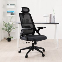 린백 LB221HA 사무용 컴퓨터 학생 책상 의자, LB221HBA-블랙바디, 진그레이