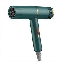 Fowod 가정용 초경량 접이식 음이온 헤어 드라이기 1800W, 그린