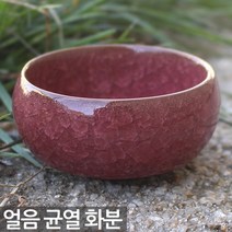 얼음 균열 도자기 선인장 화분 - 미니 다육이 다육 자기 책상 사무실 아이방 거실 인테리어, 06_Sein_얼음균열화분-진보라A