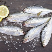 국내 자연산 햇 전어 구이용 전어, 1kg+1kg