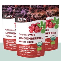 루브 링곤베리 안토시아닌 핀란드 건조링곤베리 113g 3주분, 3팩