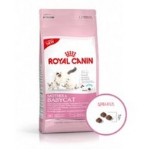 로얄캐닌 마더 앤 베이비캣 34 건식사료, 2개, 10kg