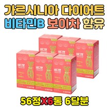직장인 복부 내장지방 옆구리살 다이어트 보조제 가르시아 HCA 20대 30대 40대 50대 중년 늘어진 쳐진 나잇살 뱃살 건강한 살빼기 헬스 홈트 건기식 영양제 가르니시아