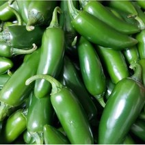 국내산 할라피뇨 고추 1kg 산지직송 할라피뇨 아삭이 피클 장아찌 Jalapenos, 1개
