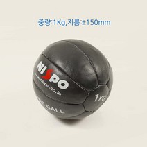 니스포 메디신볼 천연가죽, 3kg