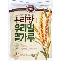 우리밀밀가루(백설 우리땅 750g) 식당 밀가루 강력분, 750g, 1개