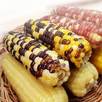 옥수수 찰옥수수 냉동옥수수 어르신간식 아이들간식, 홍찰